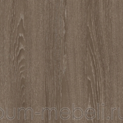 Дуб Орлеанский коричневый