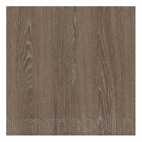 Дуб Орлеанский коричневый