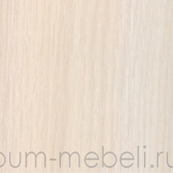 Дуб молочный