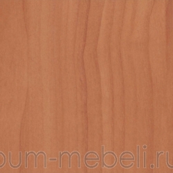 Вишня оксфорд