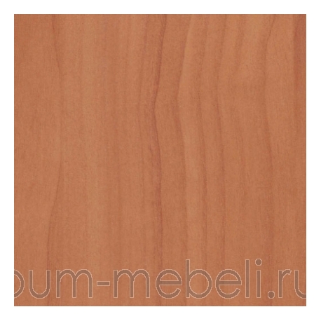 Вишня оксфорд