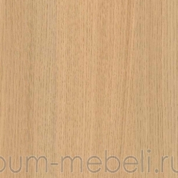 Дуб выбеленный