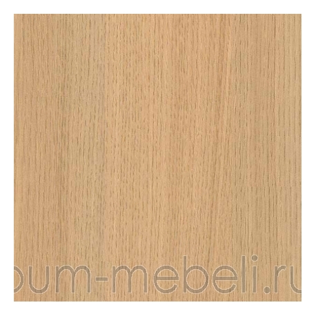 Дуб выбеленный