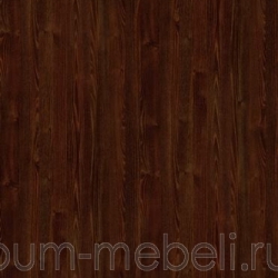 Дуб дымчатый