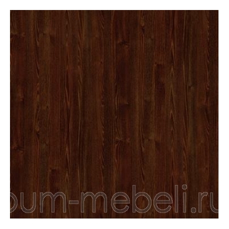 Дуб дымчатый