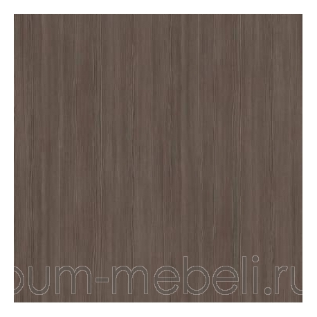 Сосна Авола коричневая