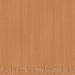 Бук Бавария