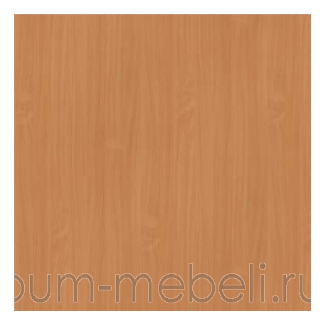 Бук Бавария