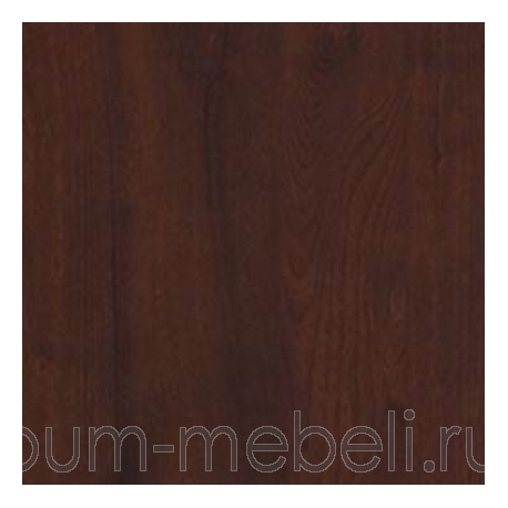 Мирт коричневый