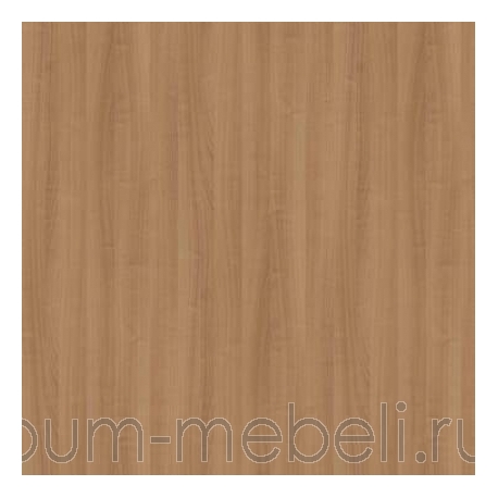 Вишня романская