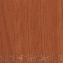 Вишня Меранская