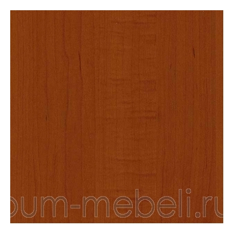 Вишня Виктория