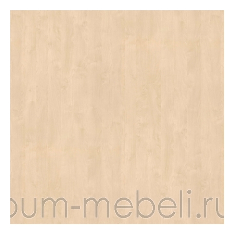 Береза Майнау