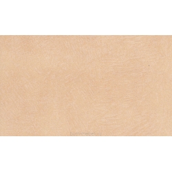 Пластик Каркадское море