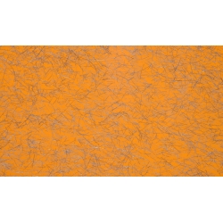 Пластик ALU MAGIK оранж