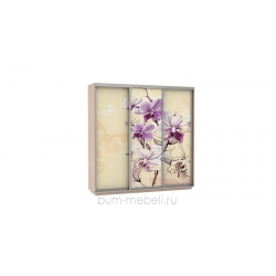 Шкаф-купе трехдверный 240 см (дуб молочный/орхидея)