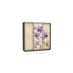 Шкаф-купе трехдверный 240 см (венге/орхидея)