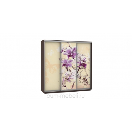 Шкаф-купе трехдверный 240 см (венге/орхидея)
