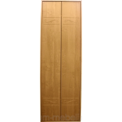 Шкаф для верхней одежды арт.:111000